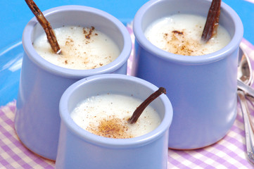 Obraz na płótnie Canvas deliciuse fresh vanilla desserts with beans