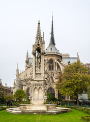 Fototapeta na wymiar Notre Dame de Paris, widok z Placu Jean-XXIII
