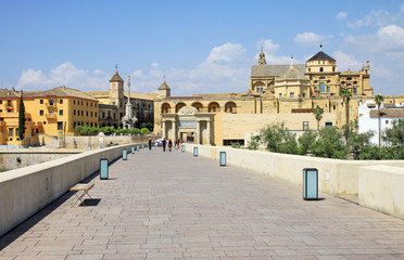 Mezquita Cathedral and Roman Bridge - Cordoba - Spain