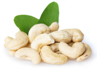 Cashew