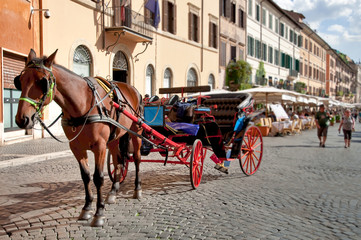 Fototapeta na wymiar Koń i trener czeka na Piazza Navona