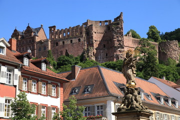 Fototapete bei efototapeten.de bestellen   