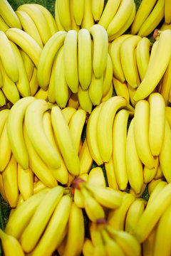 Viele Bananen im Supermarkt