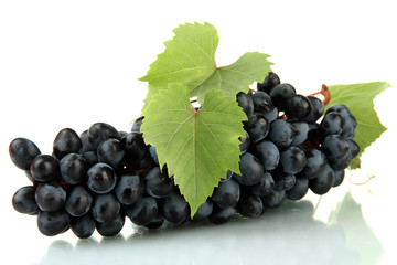 ripe sweet grapes isolated on white.