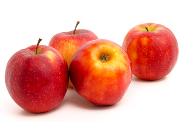 Äpfel - Jonagold