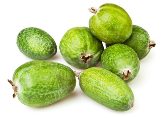 feijoa group