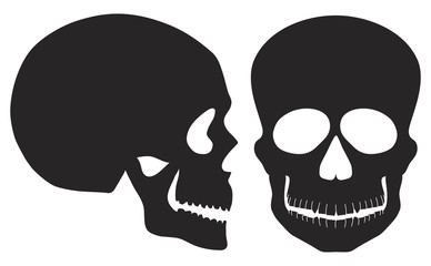 Skulls Black and White Front and Side View