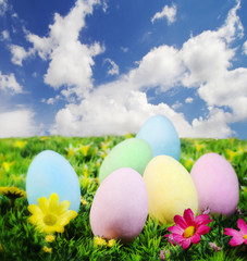 easter eggs on a flowering garden