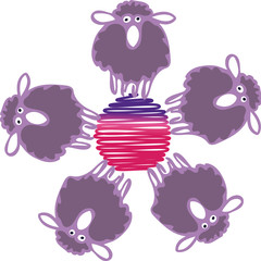 Schaf - Wolle - 100% Schafwolle - Merino