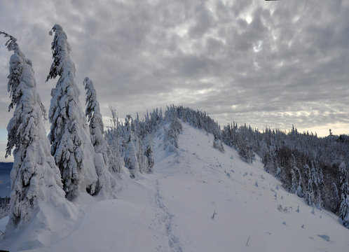 Winter landscape with snow in mountains