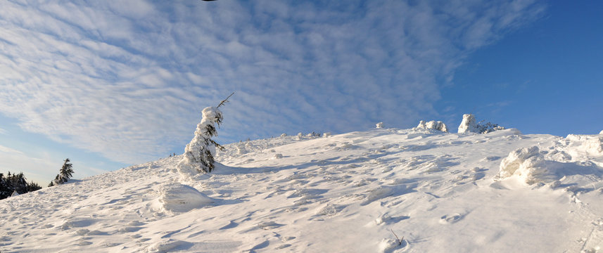Winter landscape with snow in mountains
