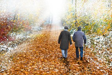 wald spaziergang pension