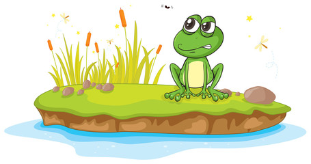 a frog and a water