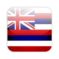 Hawaii flag button