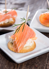Piece of Salmon on a Cracker
