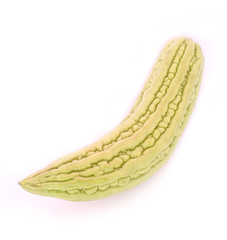 Cucurbitaceae