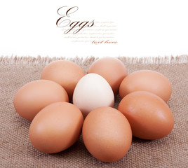 eggs