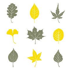 leaves 1