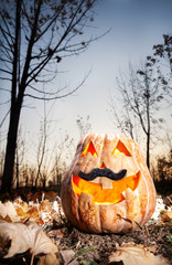 Funny halloween pumpkin in the forest