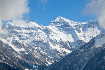 Winter landscape