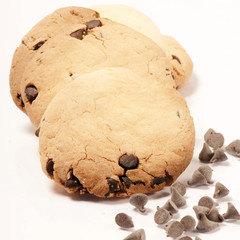 biscotti al cioccolato su fondo bianco