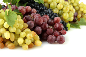assortment of ripe sweet grapes isolated on white.
