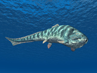 Fototapeta premium Dunkleosteus