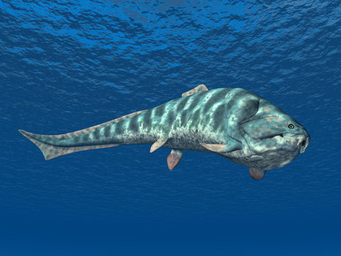 Dunkleosteus