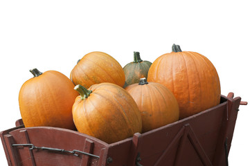 Kürbis_ freigestellt