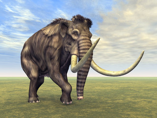 Mammoth © Michael Rosskothen