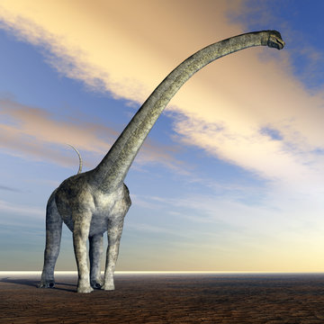 Dinosaurier Puertasaurus