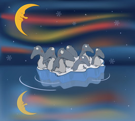 Penguins on an ice floe. Travel