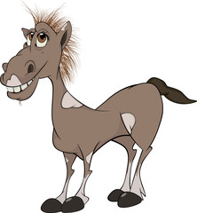Horse. cartoon