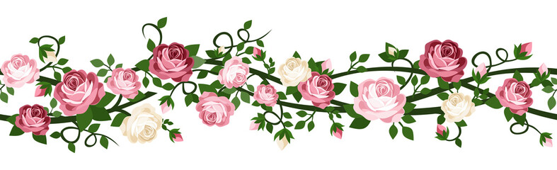 Vector horizontal seamless background with pink and white roses. - obrazy, fototapety, plakaty