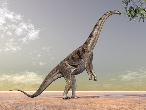 Dinosaur Puertasaurus