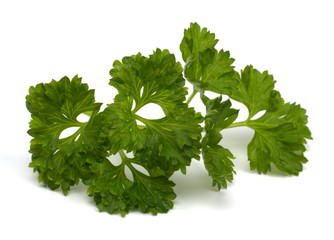 Fresh parsley closeup isolated on white