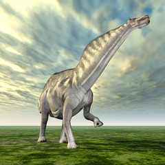 Obraz na płótnie Canvas Amargasaurus Dinosaur