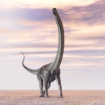 Dinosaurier Puertasaurus