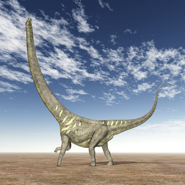 Dinosaur Mamenchisaurus