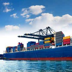 Cargo sea port. Sea cargo cranes.