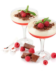 fruit jelly in glasses with chocolate and raspberries isolated