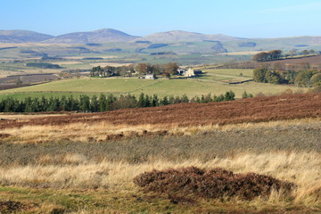 moorland in Northumberland with Cheviot Hills in background