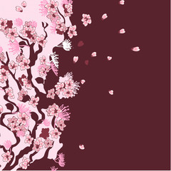 Sakura branch background