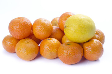 Citrus on white