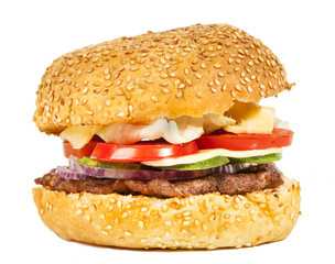 Tasty burger with vegetables
