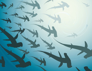 School of hammerhead sharks - vector illustration
