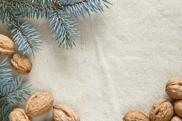 the branches of the Christmas tree and nuts