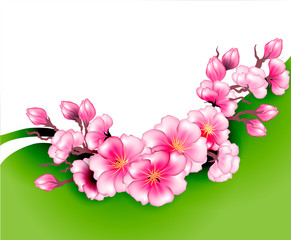 Sakura branch flowers design template