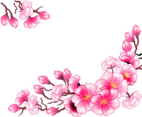 Fototapeta na wymiar Sakura branch flowers design template