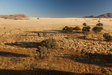 View of the savanna. Africa. Namibia.